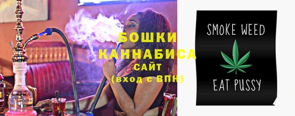 спайс Лагань