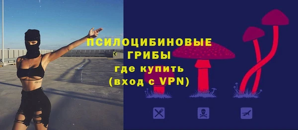 дживик Лабытнанги