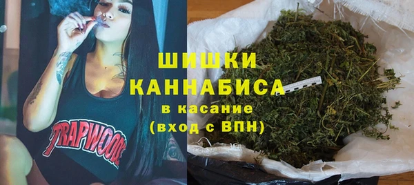 спайс Лагань