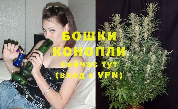 спайс Лагань