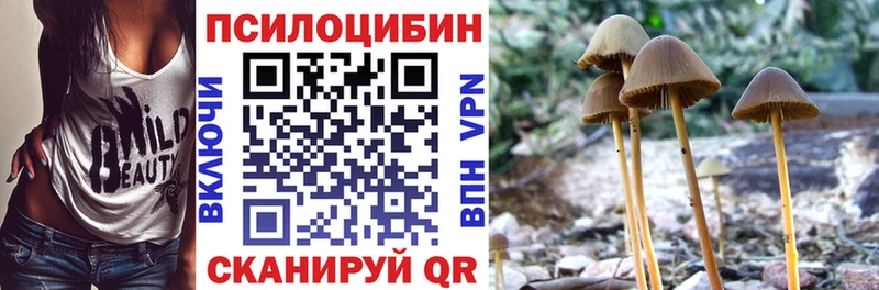 Галлюциногенные грибы Magic Shrooms  Купить  Отрадная 